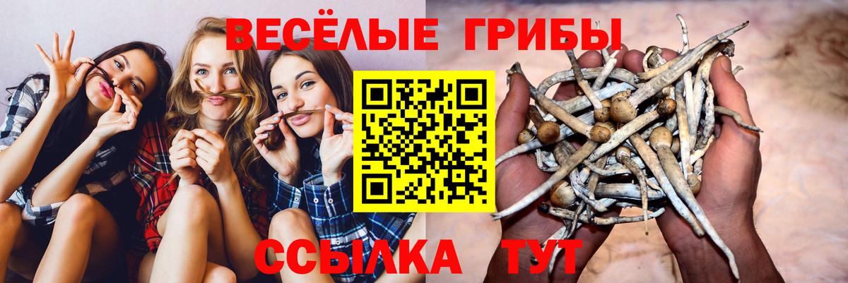 Галлюциногенные грибы ЛСД Томск